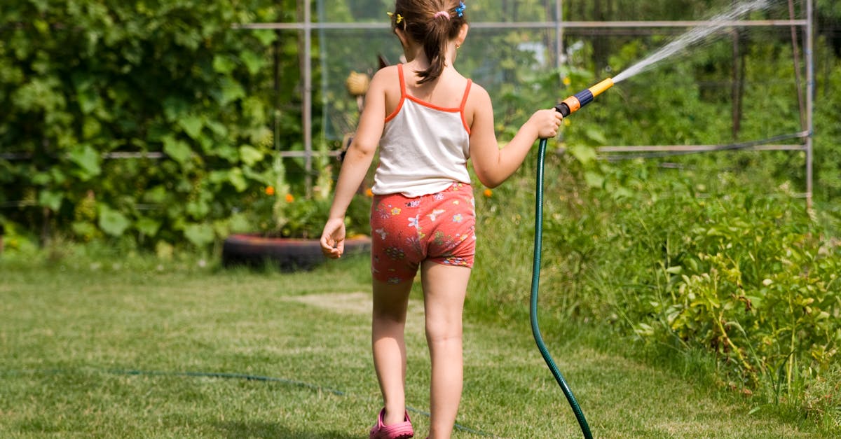 Beautiful sunny day on a green lawn, ideal for lawn care services